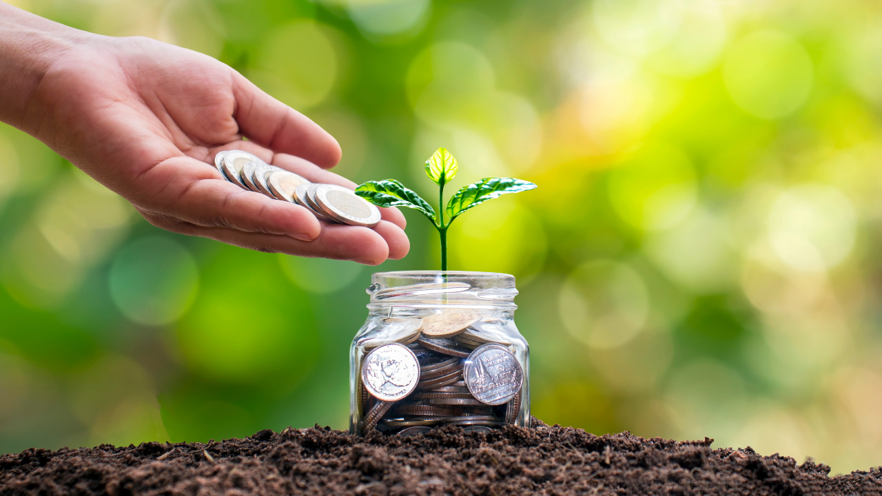  Hand placing coins into a jar with a small plant sprouting from it, symbolizing sustainable investment growth and financial planning.